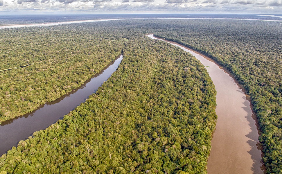 Quais são os tipos de preservação ambiental?